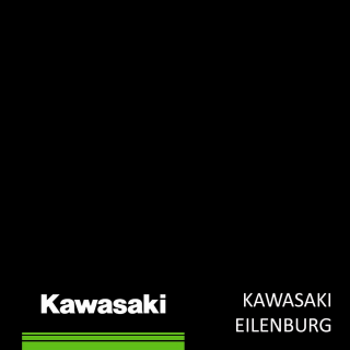KAWASAKI Z1000SX Soziussitzabdeckung 51P Candy Lime Green ab Modell 2017
