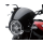 KAWASAKI WINDSCHILD GETÖNT Z900RS